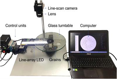 Size measurement and filled/unfilled detection of rice grains using backlight image processing
